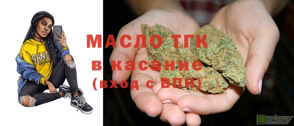 сатива Богородицк