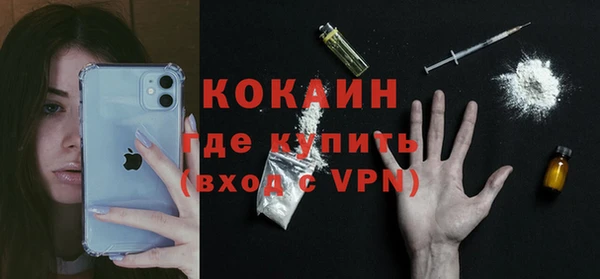 сатива Богородицк