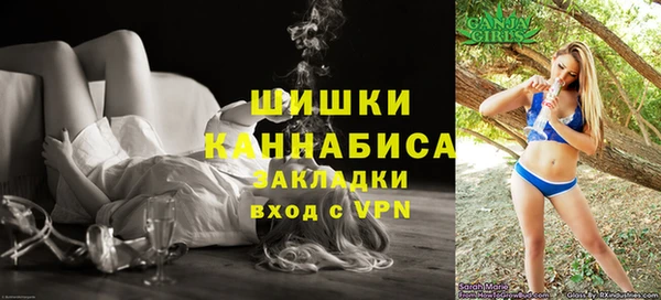 сатива Богородицк