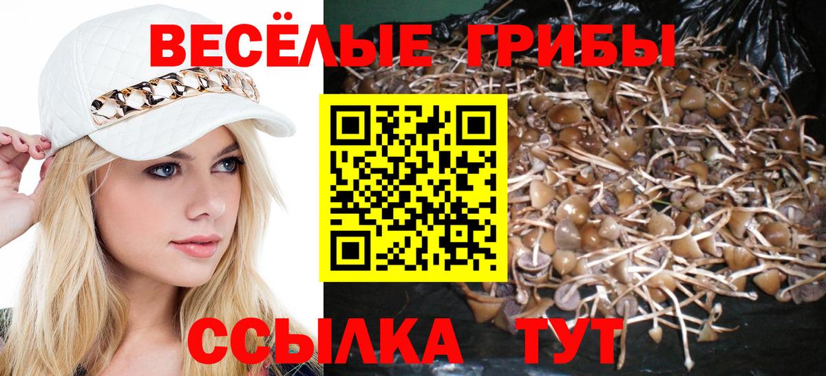 Псилоцибиновые грибы ЛСД  Псилоцибиновые грибы Psilocybine cubensis  Верхний Уфалей  Вход с VPN 